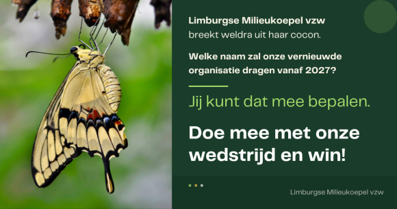 Wedstrijd naam_visual