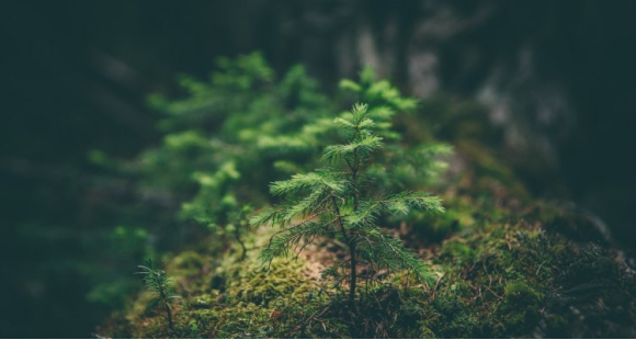 ©Wageningen University & Research